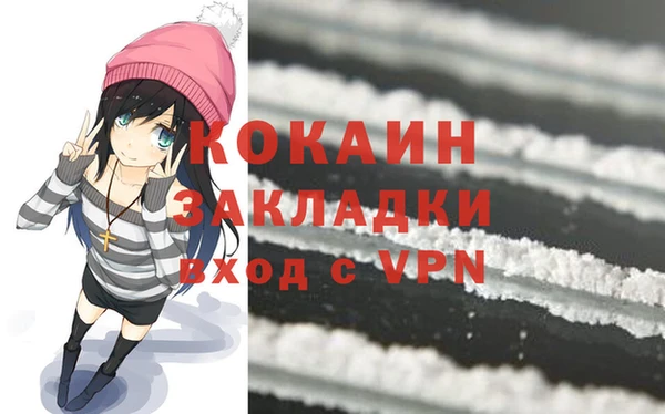 индика Иннополис