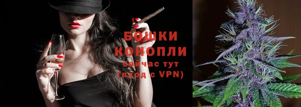 индика Иннополис