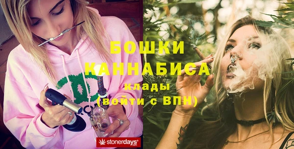 индика Иннополис