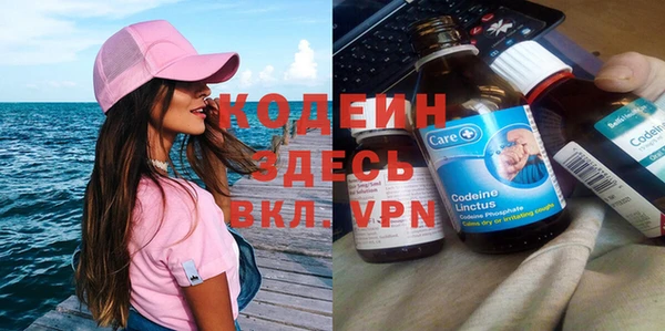 индика Иннополис