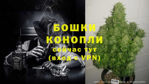 индика Иннополис