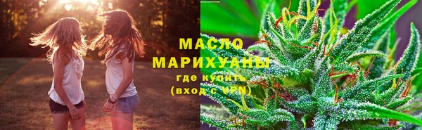 индика Иннополис