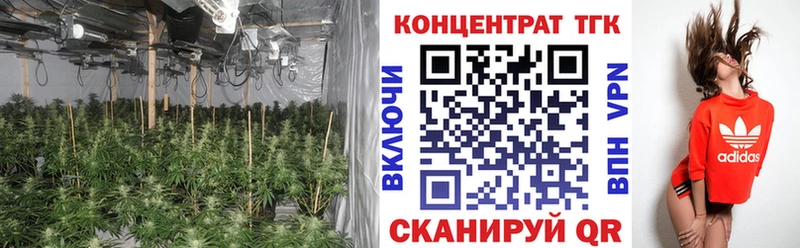Купить закладки  Зарайск  ТГК вейп с тгк 