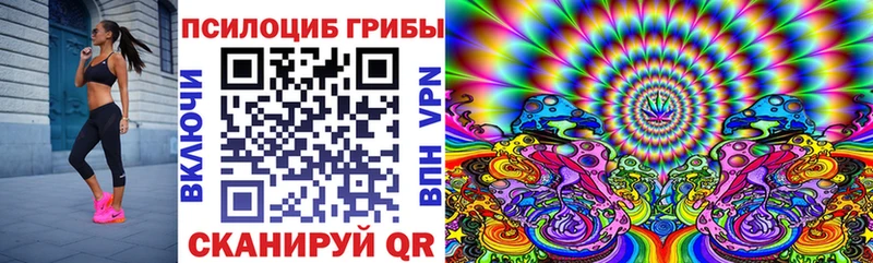 Купить закладки  Зарайск  Псилоцибиновые грибы Cubensis 